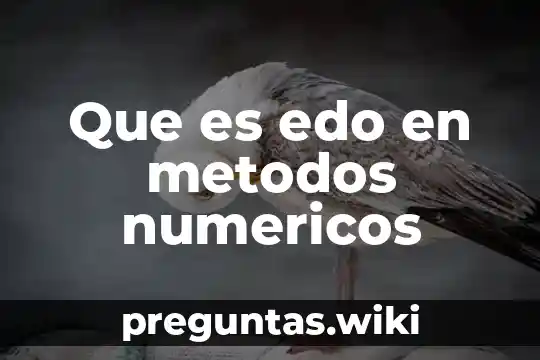 Que es edo en metodos numericos