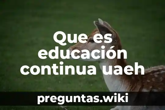 Que es educación continua uaeh