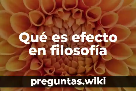 Qué es efecto en filosofía