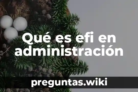 Qué es efi en administración