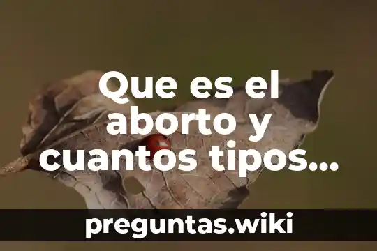 Que es el aborto y cuantos tipos de aborto hay