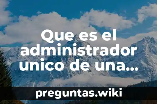 Que es el administrador unico de una sociedad