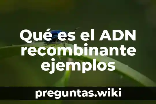Qué es el ADN recombinante ejemplos