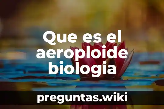 Que es el aeroploide biologia