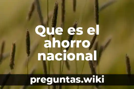 Que es el ahorro nacional