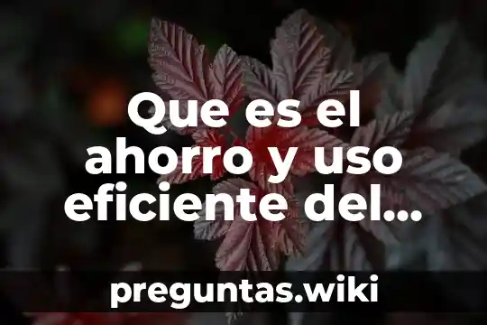 Que es el ahorro y uso eficiente del agua