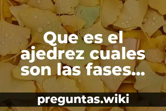 Que es el ajedrez cuales son las fases del juego
