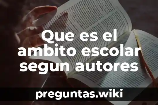 Que es el ambito escolar segun autores