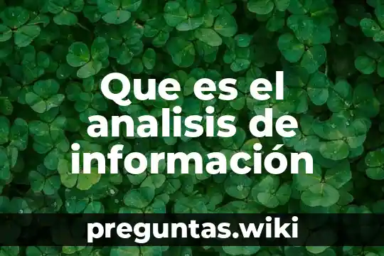 Que es el analisis de información
