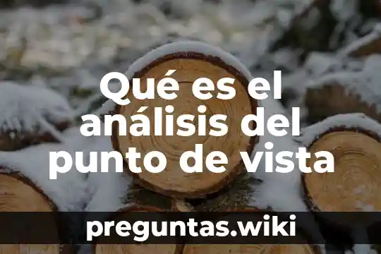 Qué es el análisis del punto de vista