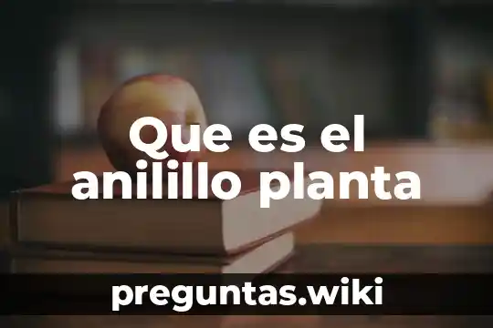 Que es el anilillo planta