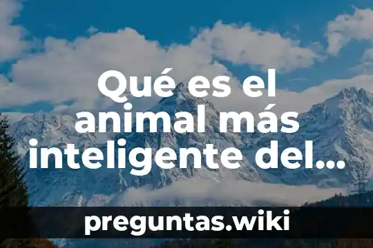 Qué es el animal más inteligente del mundo