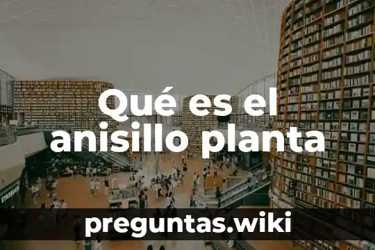 Qué es el anisillo planta