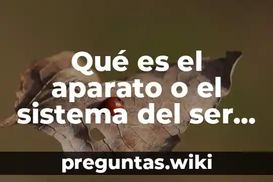 Qué es el aparato o el sistema del ser humano