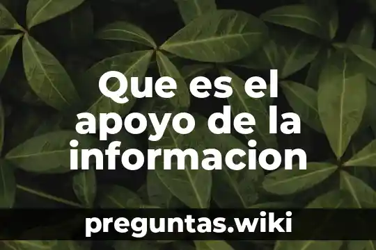 Que es el apoyo de la informacion