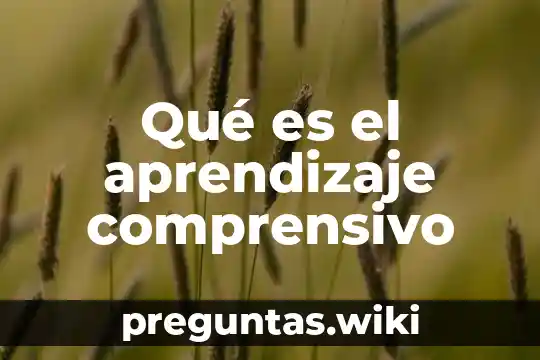 Qué es el aprendizaje comprensivo