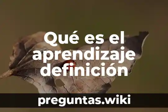 Qué es el aprendizaje definición