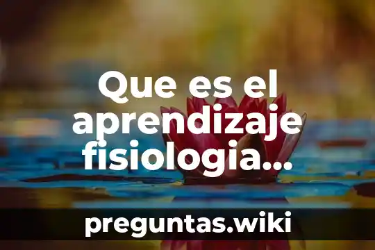 Que es el aprendizaje fisiologia animal