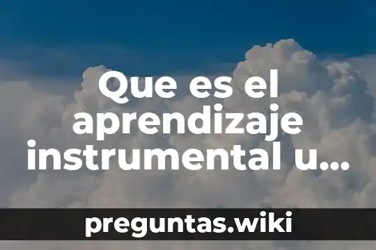 Que es el aprendizaje instrumental u operante