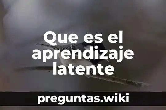 Que es el aprendizaje latente