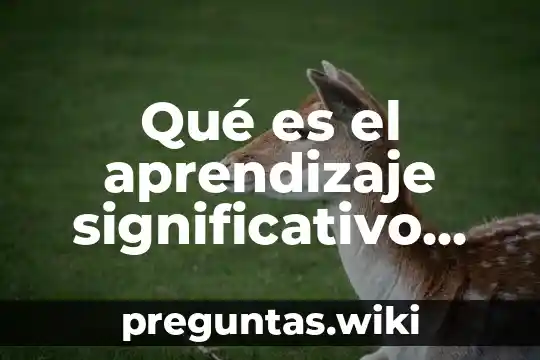 Qué es el aprendizaje significativo según vygotsky