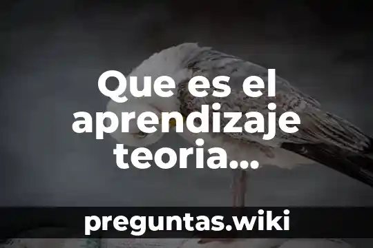 Que es el aprendizaje teoria constructivista