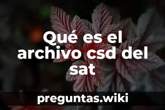Qué es el archivo csd del sat