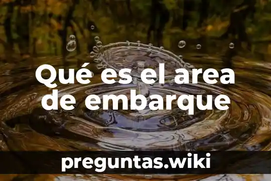 Qué es el area de embarque
