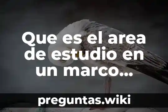 Que es el area de estudio en un marco teórico