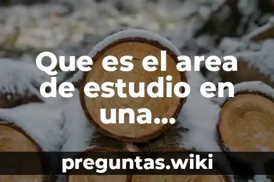 Que es el area de estudio en una investigacion