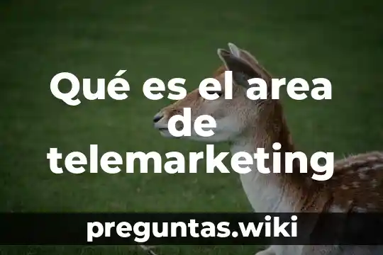 Qué es el area de telemarketing