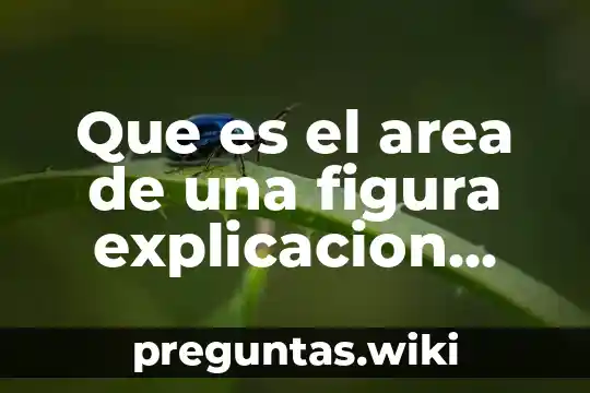 Que es el area de una figura explicacion para niños