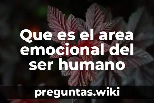 Que es el area emocional del ser humano
