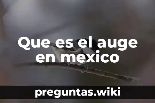 Que es el auge en mexico