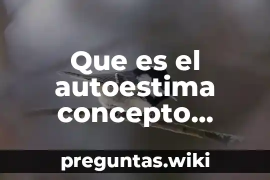 Que es el autoestima concepto autpores
