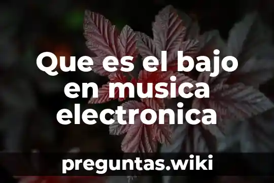 Que es el bajo en musica electronica