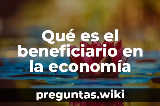 Qué es el beneficiario en la economía