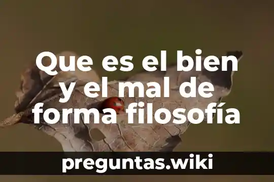 Que es el bien y el mal de forma filosofía