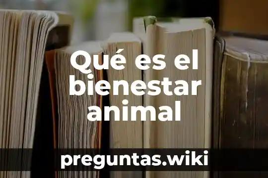 Qué es el bienestar animal