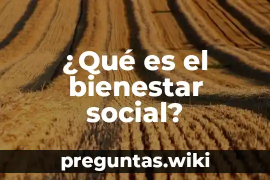 ¿Qué es el bienestar social?