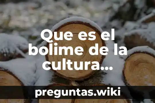 Que es el bolime de la cultura chichimeca