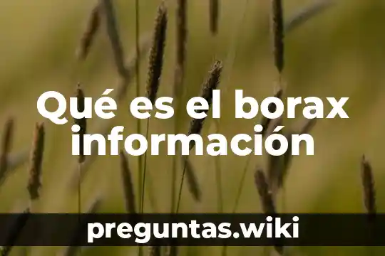 Qué es el borax información