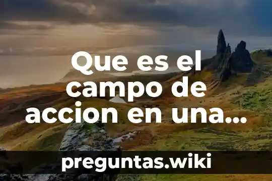 Que es el campo de accion en una investigacion