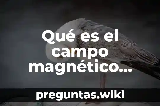 Qué es el campo magnético oisomórfico