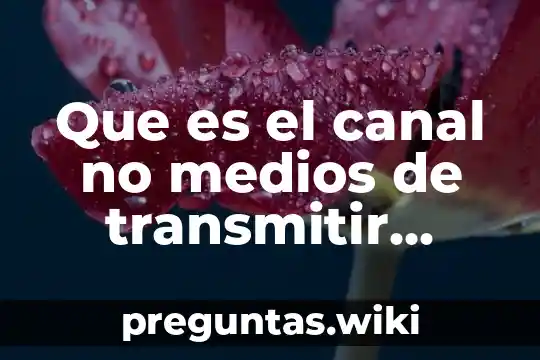 Que es el canal no medios de transmitir comunicacion