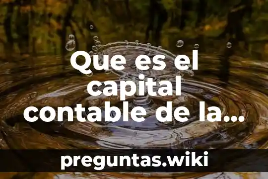 Que es el capital contable de la sociedad