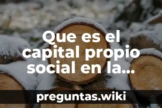 Que es el capital propio social en la contabilidad