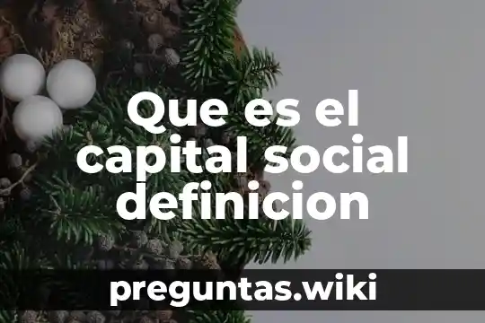 Que es el capital social definicion