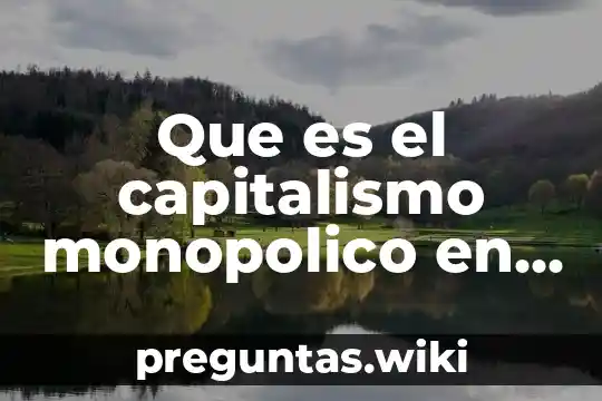 Que es el capitalismo monopolico en historia