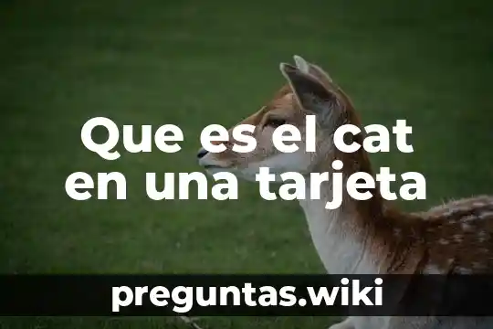 Que es el cat en una tarjeta